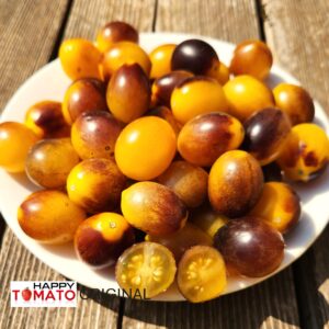 Indigo Kumquat tomato