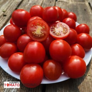 Ampel'ny tomato