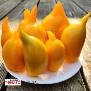 Buratino tomato