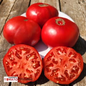 Gruzinskie tomato