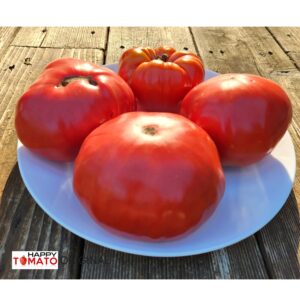 Caspian Pink tomato