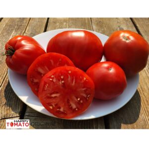 Diamante Oppedisano tomato
