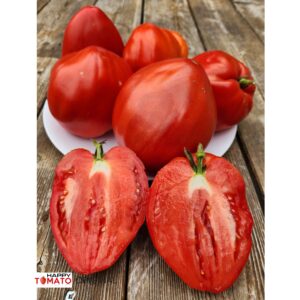 Spadone Gigante tomato
