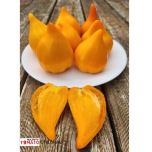 Zailiyskiy Alatau Yellow tomato
