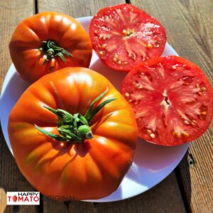 Klara tomato