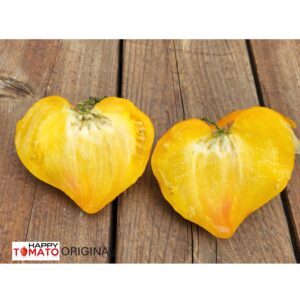 Yellow crest (Grebeshki zhyoltye) tomato