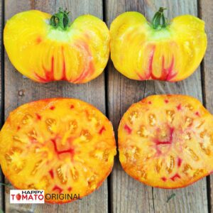 Regina's Yellow tomato