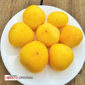 Garden Peach tomato