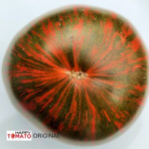 Girl Girl's Weird Thing tomato
