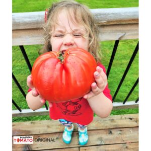 Bulgarian Big Heart (Bolgarskoye Serdtse Krupnoye) tomato