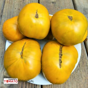 Dwarf Uluru Ochre tomato