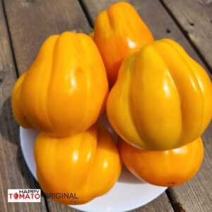 Yellow Bags (Zheltyye torbochki) tomato