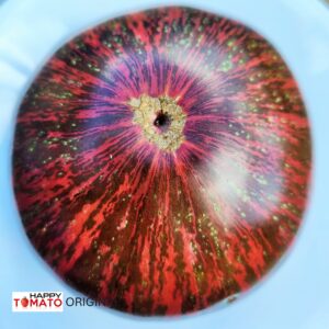 Rebel Starfighter Prime (beef-shaped) tomato SEEDLING