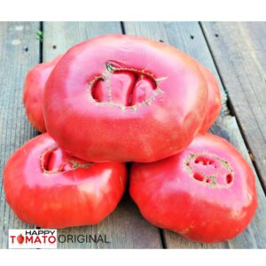 Michael's Portuguese Monster tomato