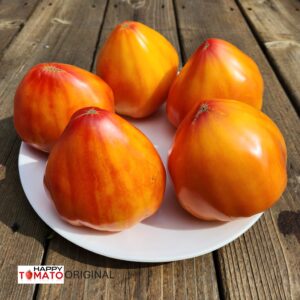 Canadian Heritage tomato