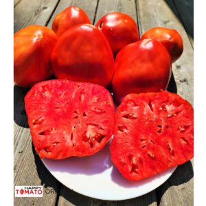 Aunt Swarlo's Polish Plum tomato
