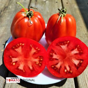 Best Bestos tomato