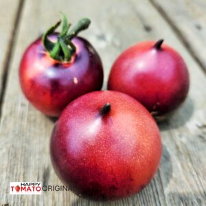 H-34 Rose tomato