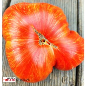 Evening Almaty ( Vechernij Almaty) tomato