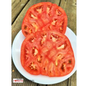 Sekai Ichi (世 界 一) tomato