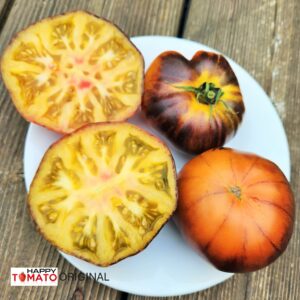P20+Beauty King tomato