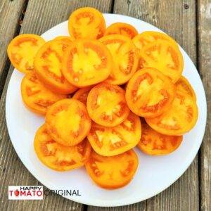 Qiyanai Huang tomato