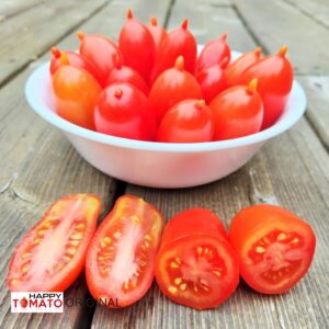 Peter the Great (Pyotr Velikij) tomato