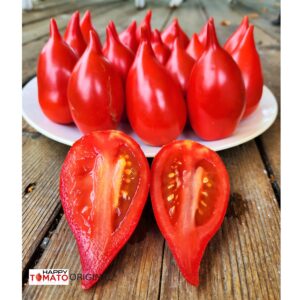 Legenda Tarasenko (Legend of Tarasenko) tomato