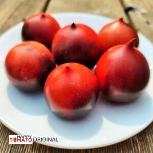 H-34 Rot tomato