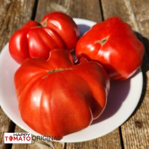 Big Luciano tomato