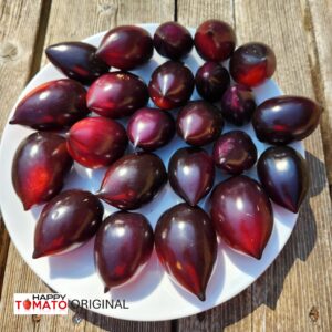 Blue Marzano tomato