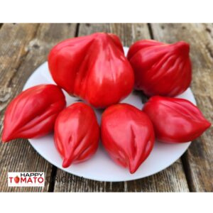 Marta's Heart tomato