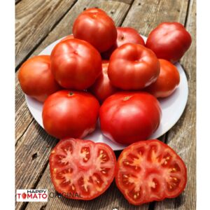Beautiful Sophie tomato