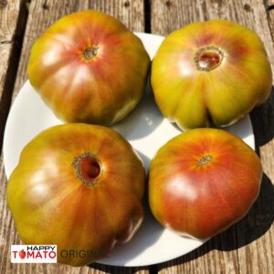 Wild Thyme GWR tomato