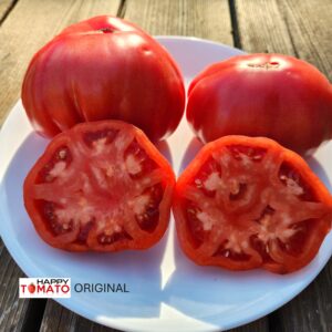 Priamursky large-fruited tomato SEEDLING