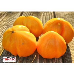 Fiery kiss (Ognennyj poceluj) tomato