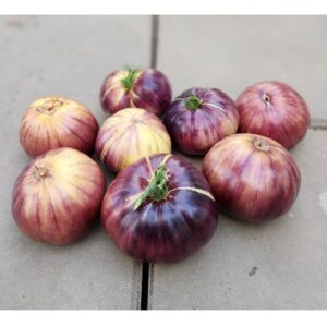 Great White Blues tomato