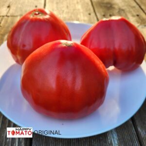 Bella Rosina tomato