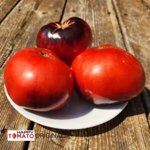 Galaktion tomato