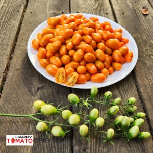Pera Naranja tomato