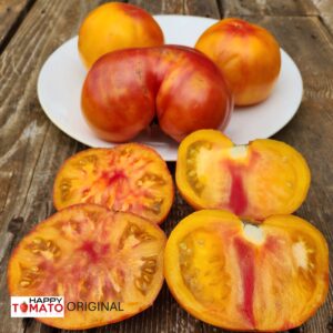 Variegated Dragon tomato, variegated leaves