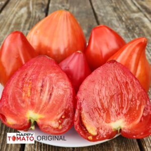 Zailiyskiy Alatau Red tomato