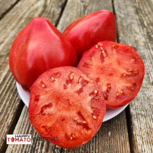 Bear Heart-2 Pink tomato SEEDLING
