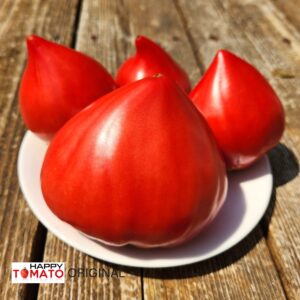 Vater Rhein tomato
