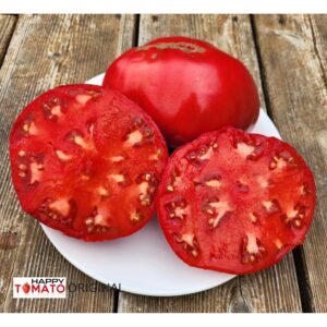 Sugar Bison (Saharnyj bizon) tomato SEEDLING