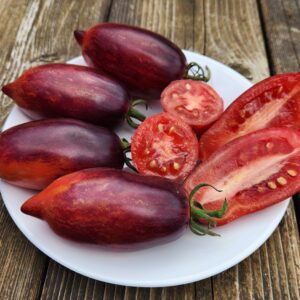 Dwarf Antho Pink Panther tomato