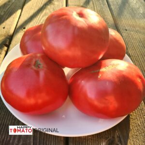 Yuvel Rozovyi tomato