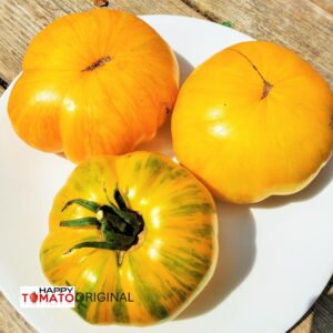 Big Yellow Zebra tomato