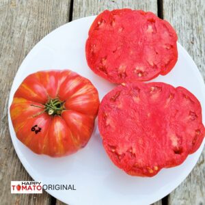 Pink Jazz tomato