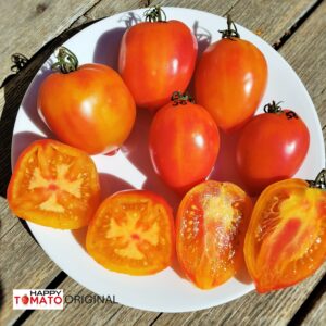 Marina's Prise tomato